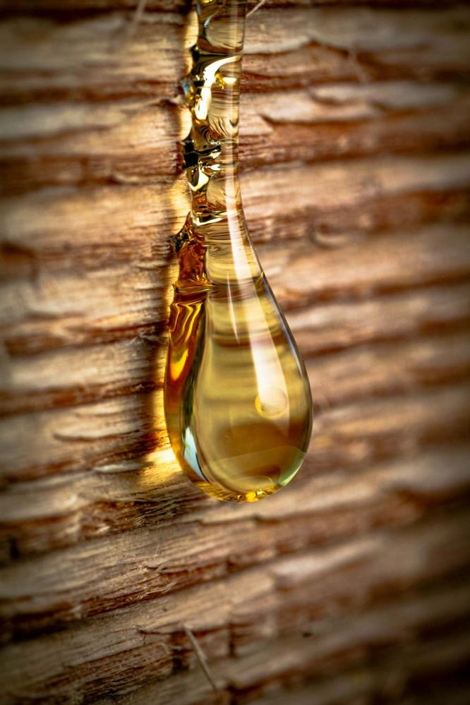 Photograph by Сергей Назаредский