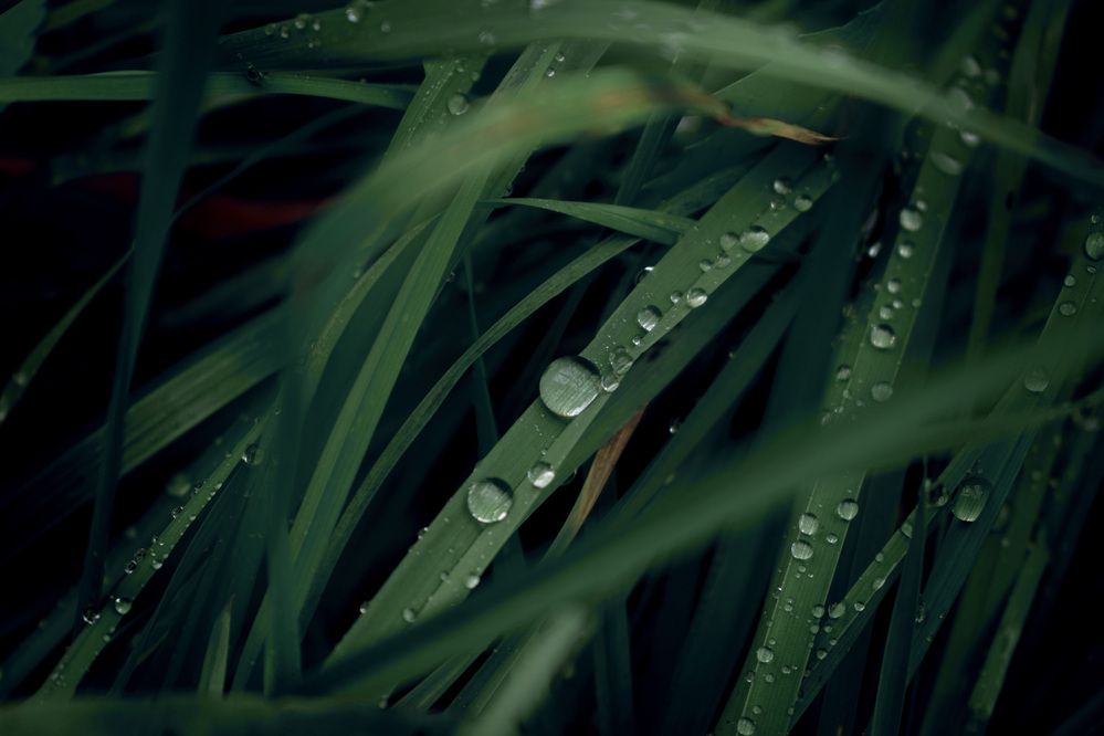 Фотография автора Алексей