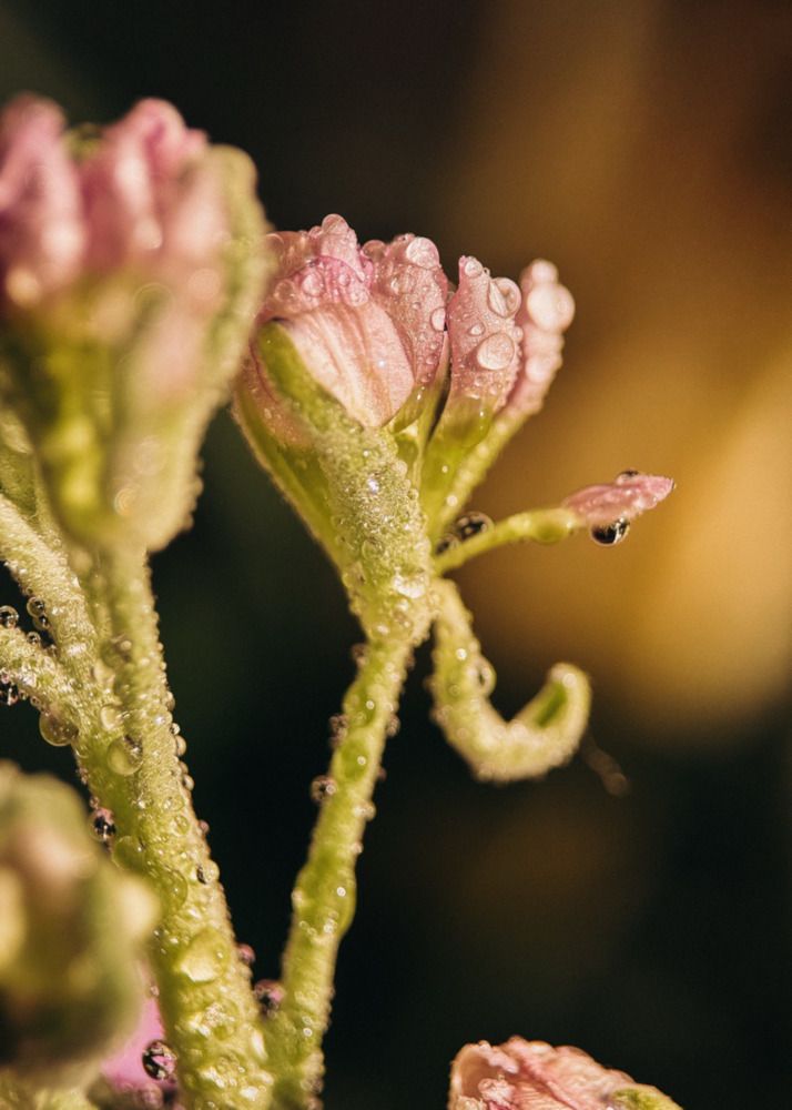 Фотография автора Мария