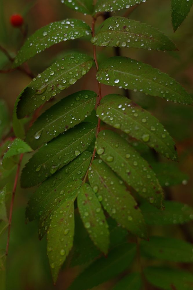 Photograph by Татьяна Генералова