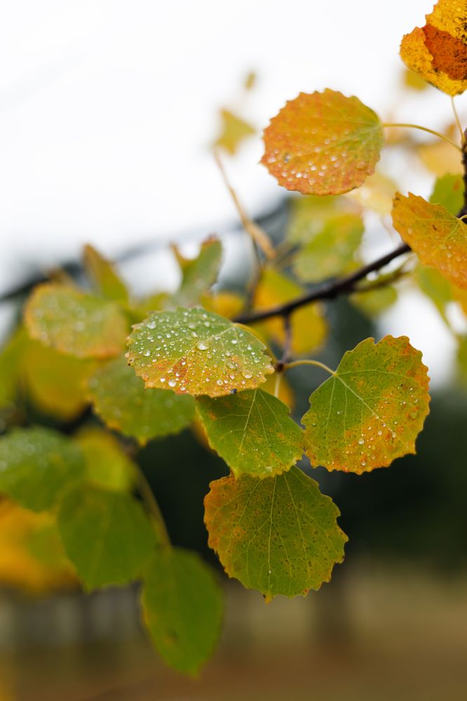 Photograph by Татьяна Генералова