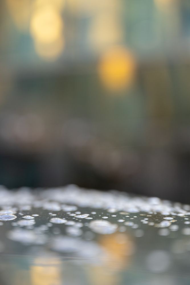 Photograph by Даниил Пузаков