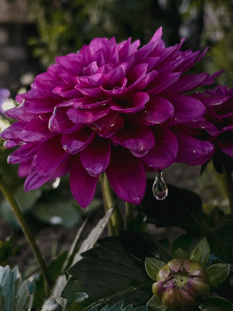 Photograph by Екатерина Щербинина