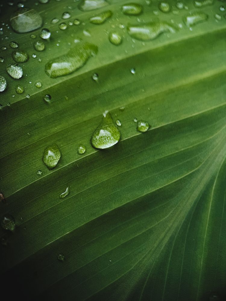 Photograph by Екатерина Щербинина