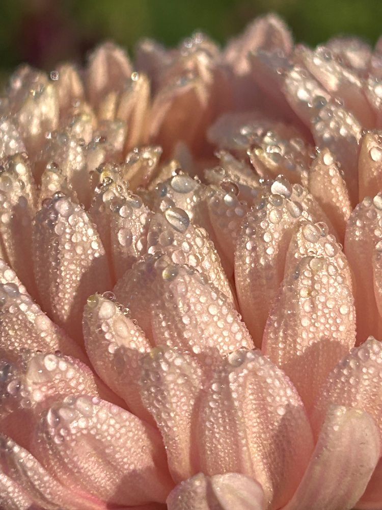 Photograph by Ольга Евтухова