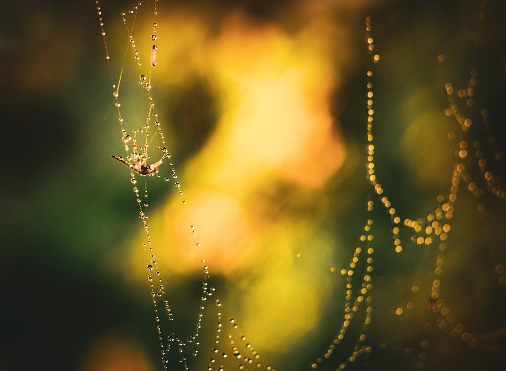 Photograph by Василий Богомолов