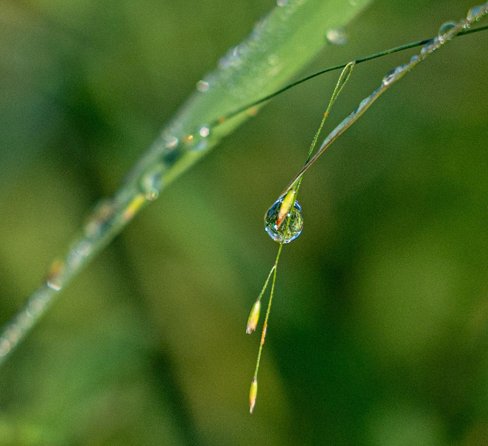 Photograph by Василий Богомолов