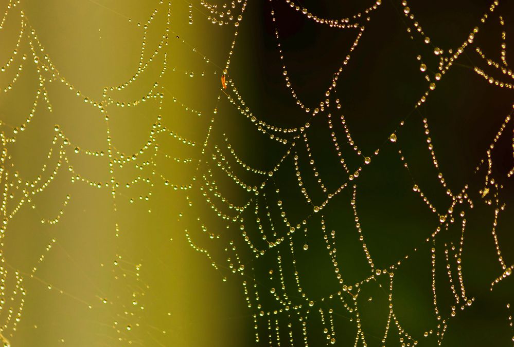 Photograph by Василий Богомолов