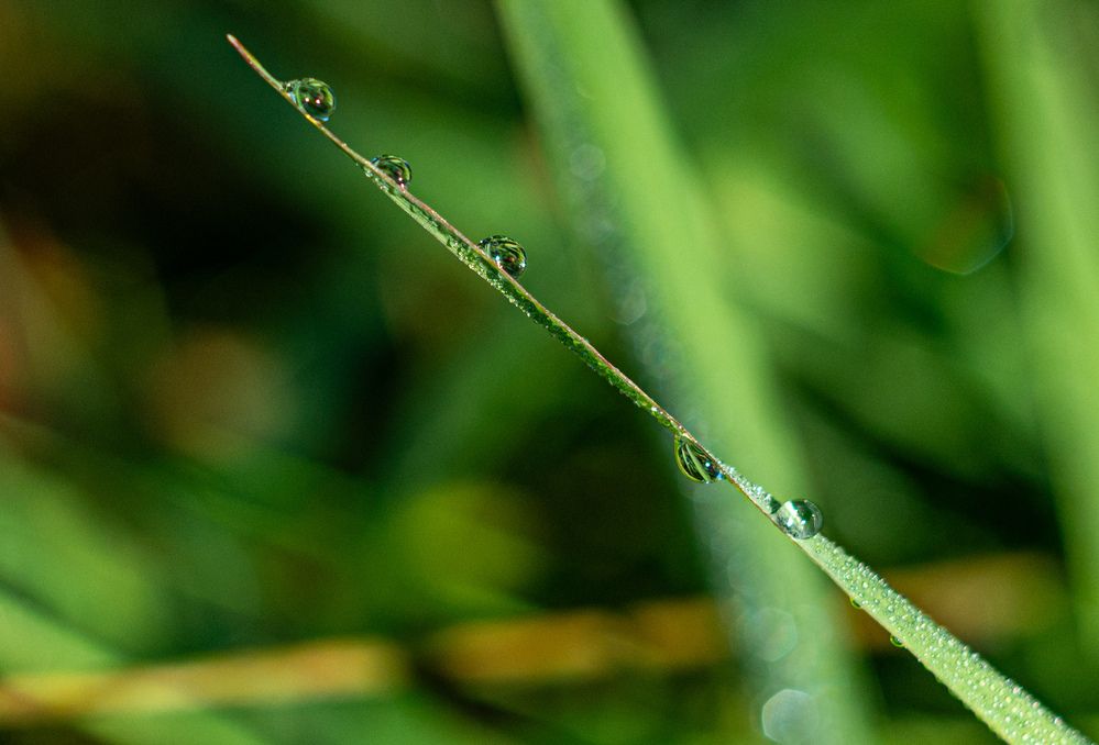 Photograph by Василий Богомолов