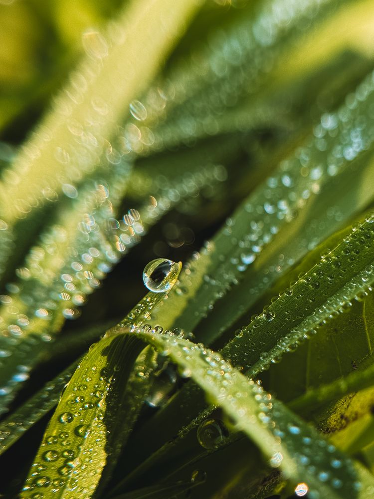 Photograph by Алиса Чугунова