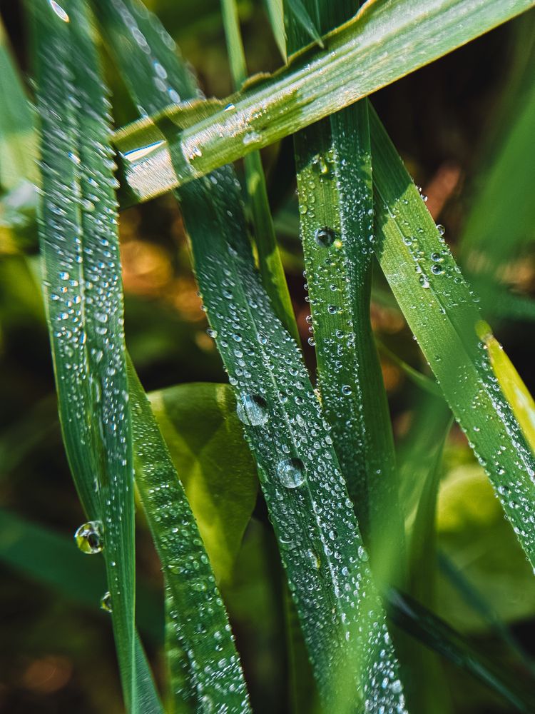 Photograph by Алиса Чугунова