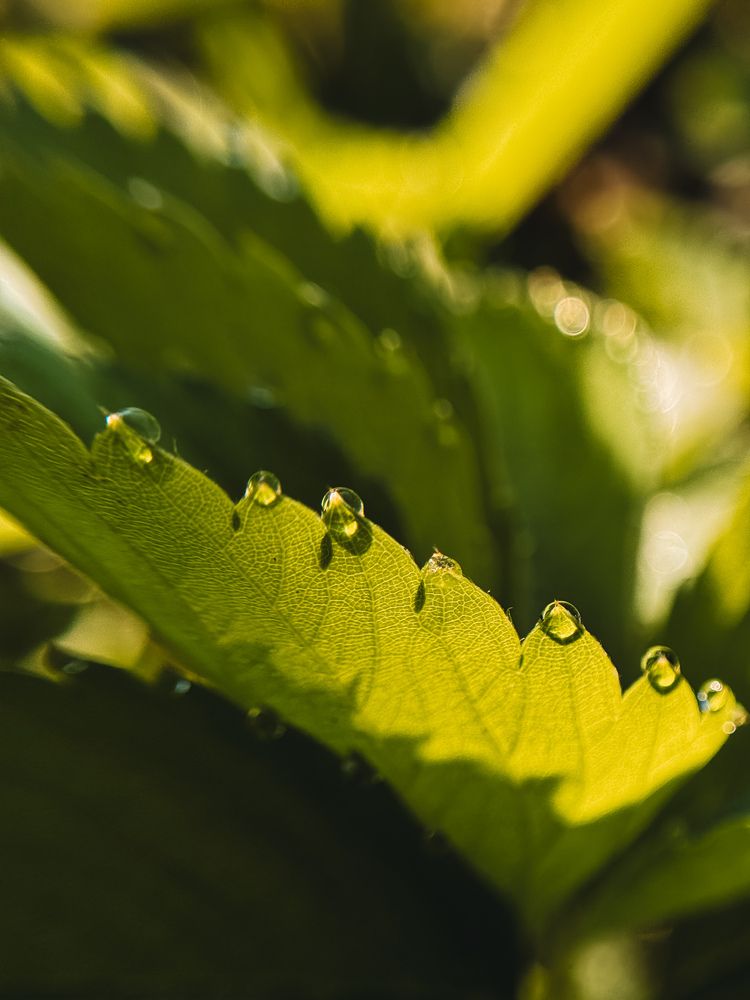 Photograph by Алиса Чугунова