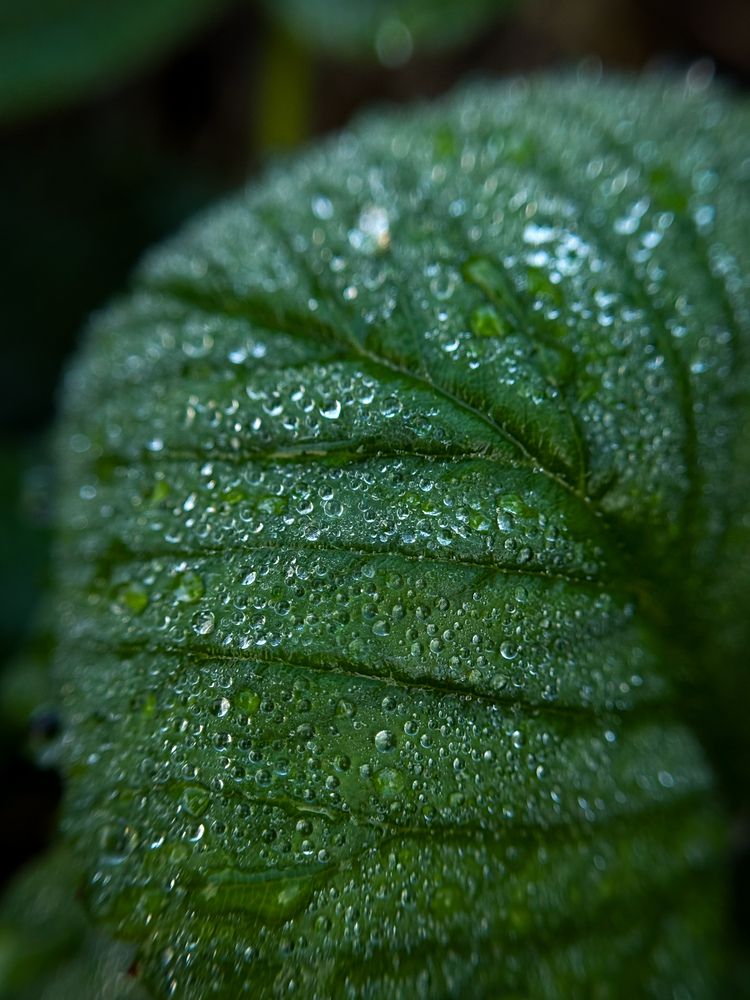 Photograph by Ярослава Васильева