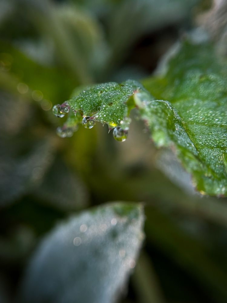 Photograph by Ярослава Васильева