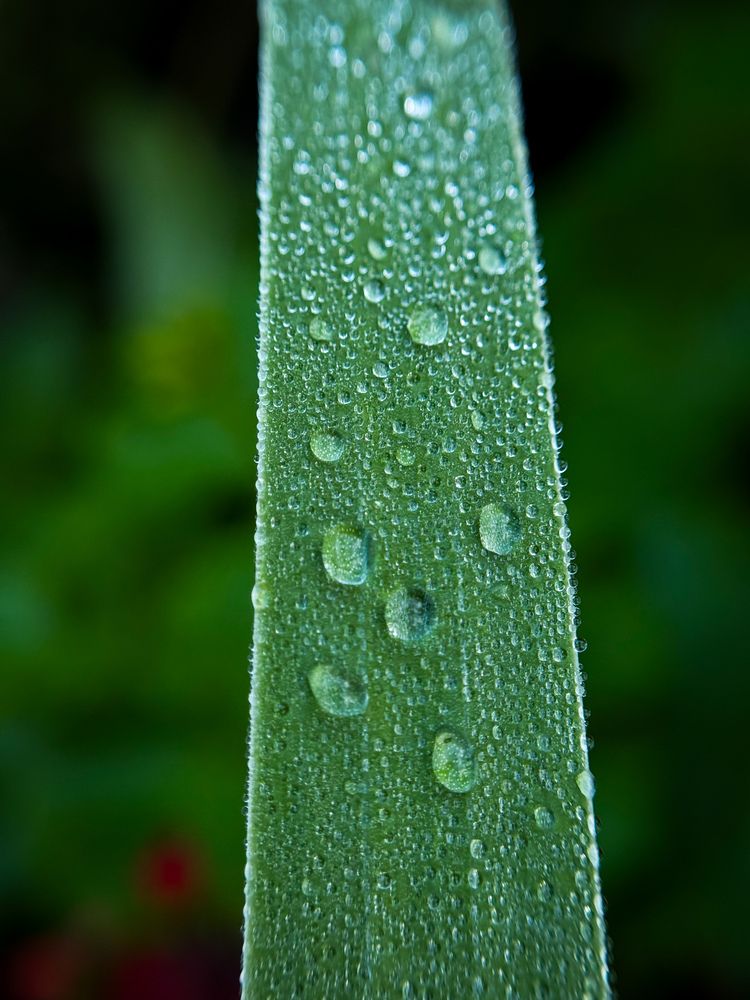 Photograph by Ярослава Васильева