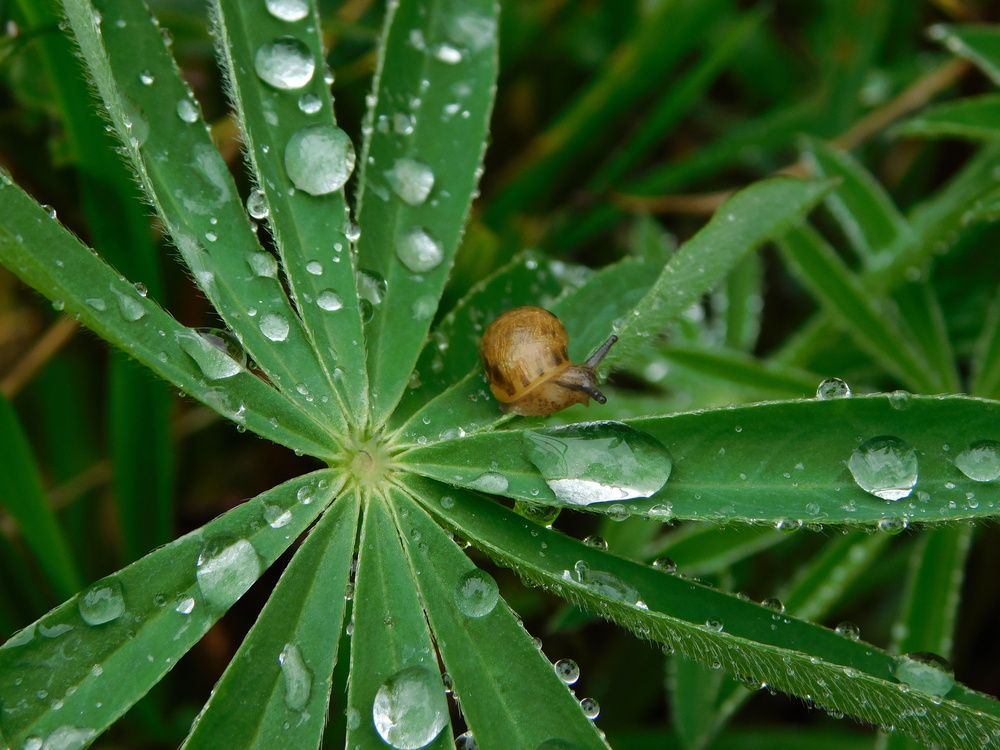 Photograph by Александр Прядко