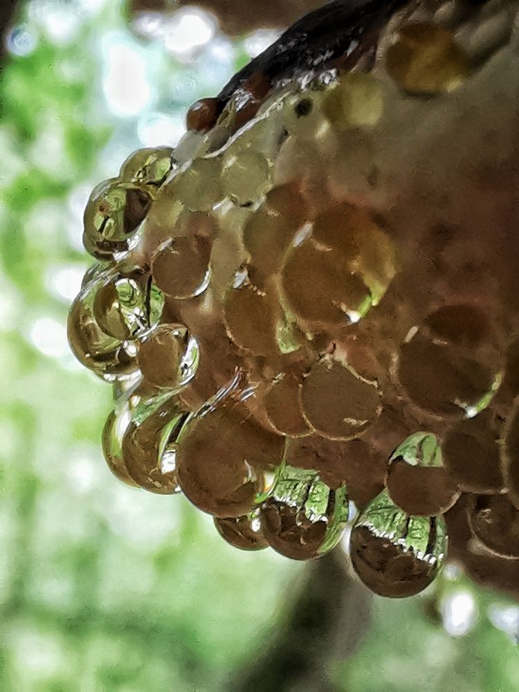 Photograph by Елена Артёменко