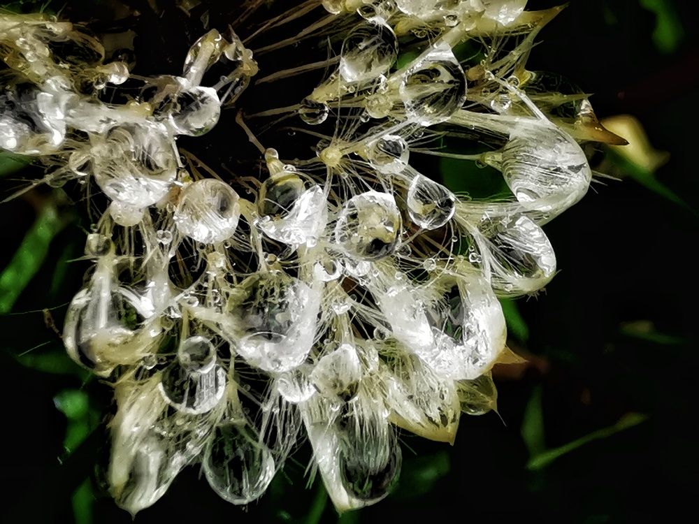 Photograph by Елена Артёменко