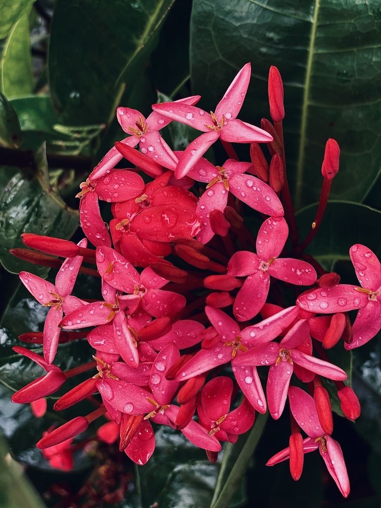 Photograph by Precious Williams