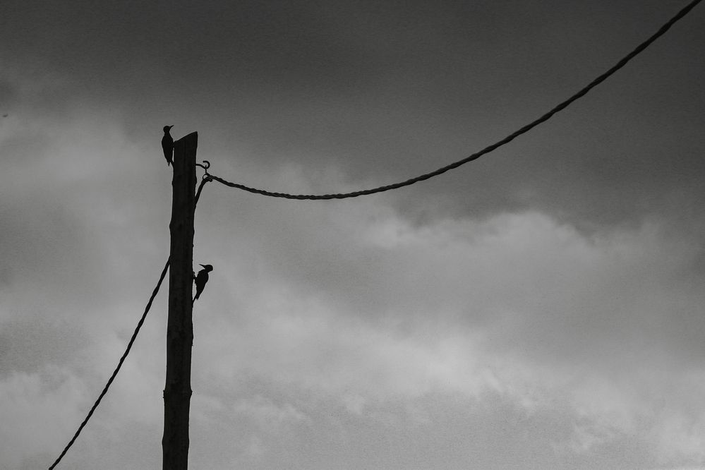 Photograph by Елизавета Дмитриевна