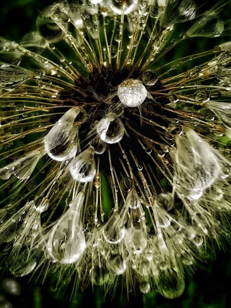 Photograph by Елена Артёменко