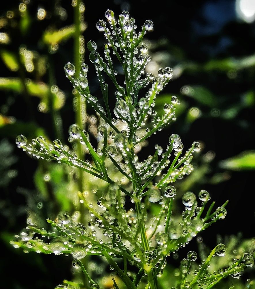 Photograph by Елена Артёменко