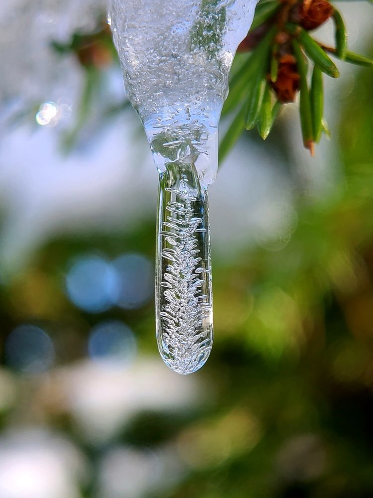 Photograph by Егор Жук