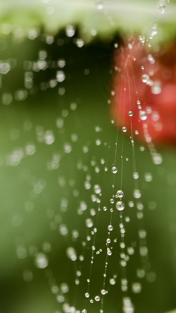 Photograph by Елена Кадаева