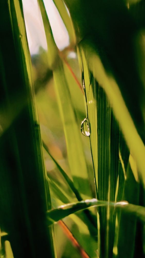 Photograph by Наталия Короленко