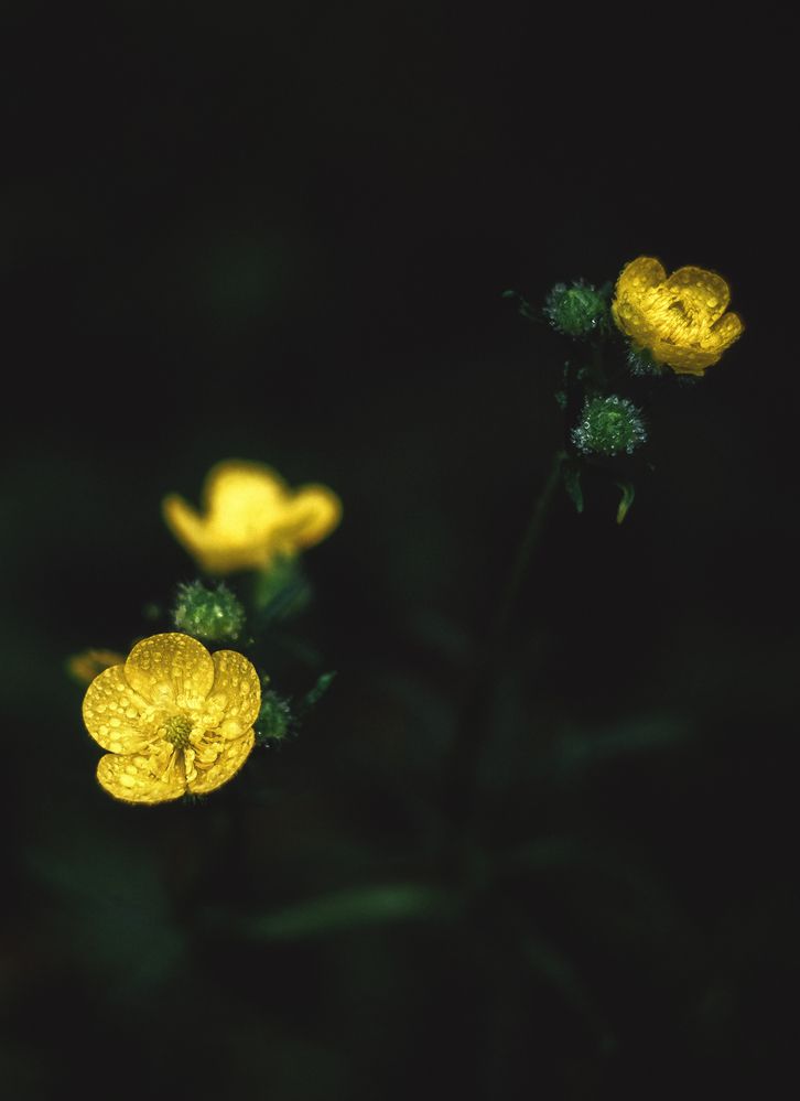 Photograph by Юлия Лушникова