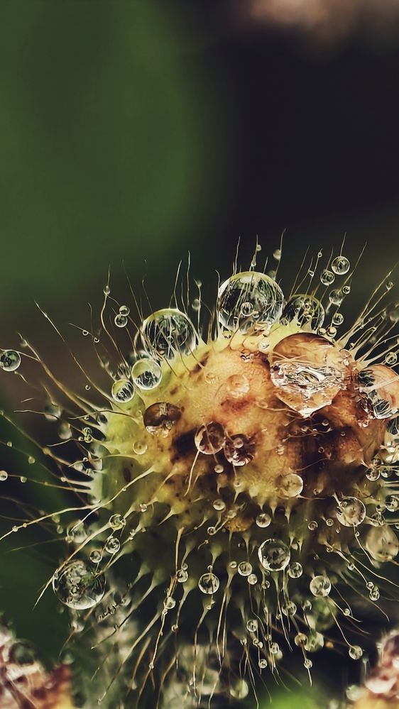 Photograph by Елена Кадаева