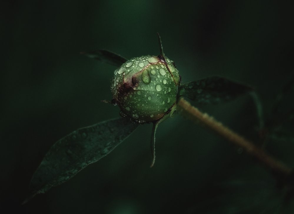 Photograph by Юлия Лушникова