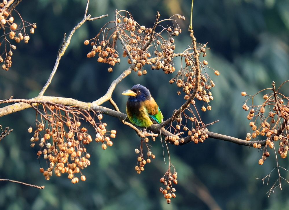 Photograph by Partha Poddar