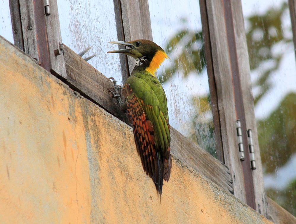 Photograph by Partha Poddar