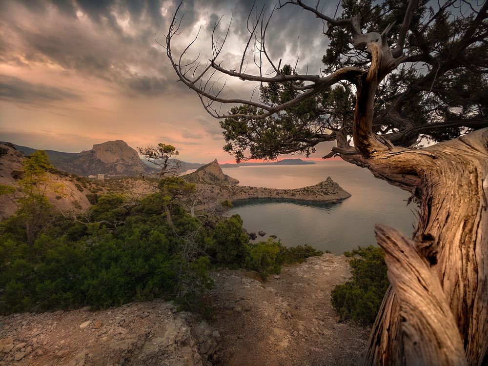 Photograph by Александр Разумов