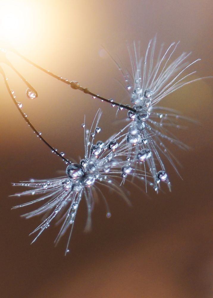 Photograph by Олеся Постнова