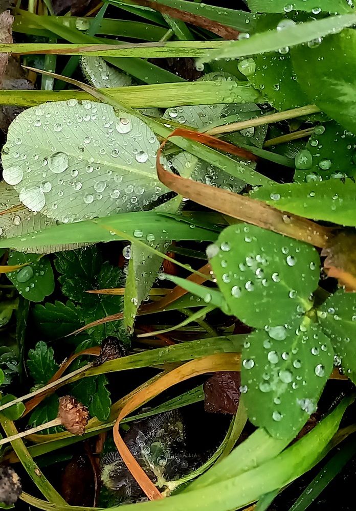 Photograph by Назмутдинова Сауия