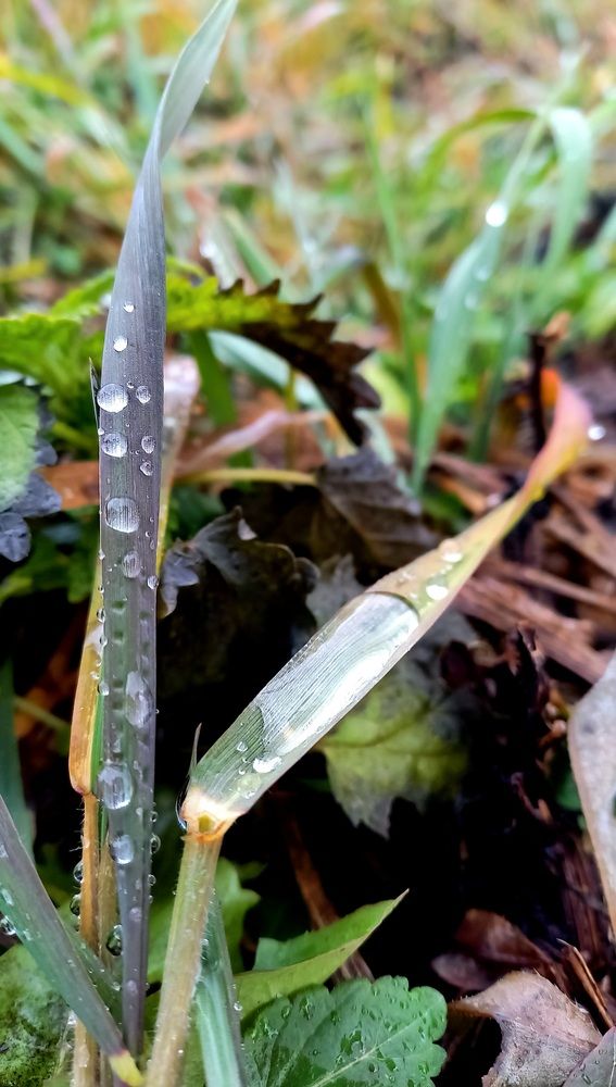 Photograph by Назмутдинова Сауия