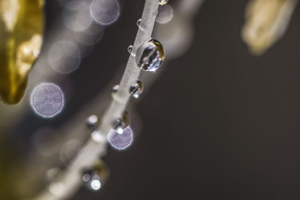 Photograph by Victoria Mogulyan