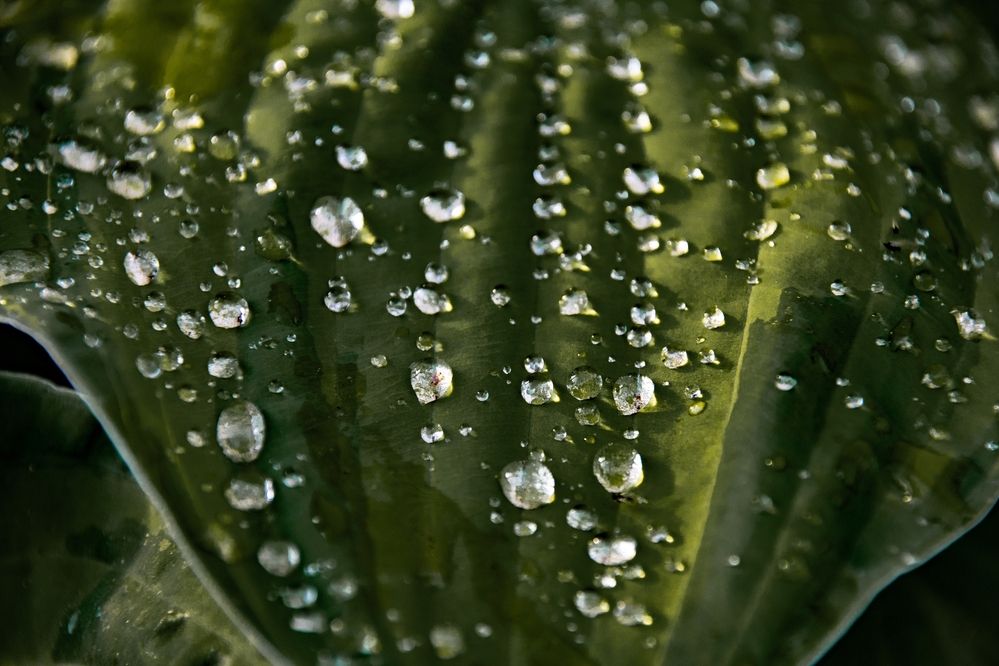 Photograph by Елена Ефимова