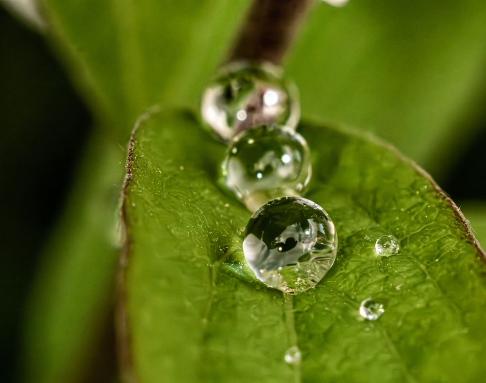 Фотография автора Юрий Володин