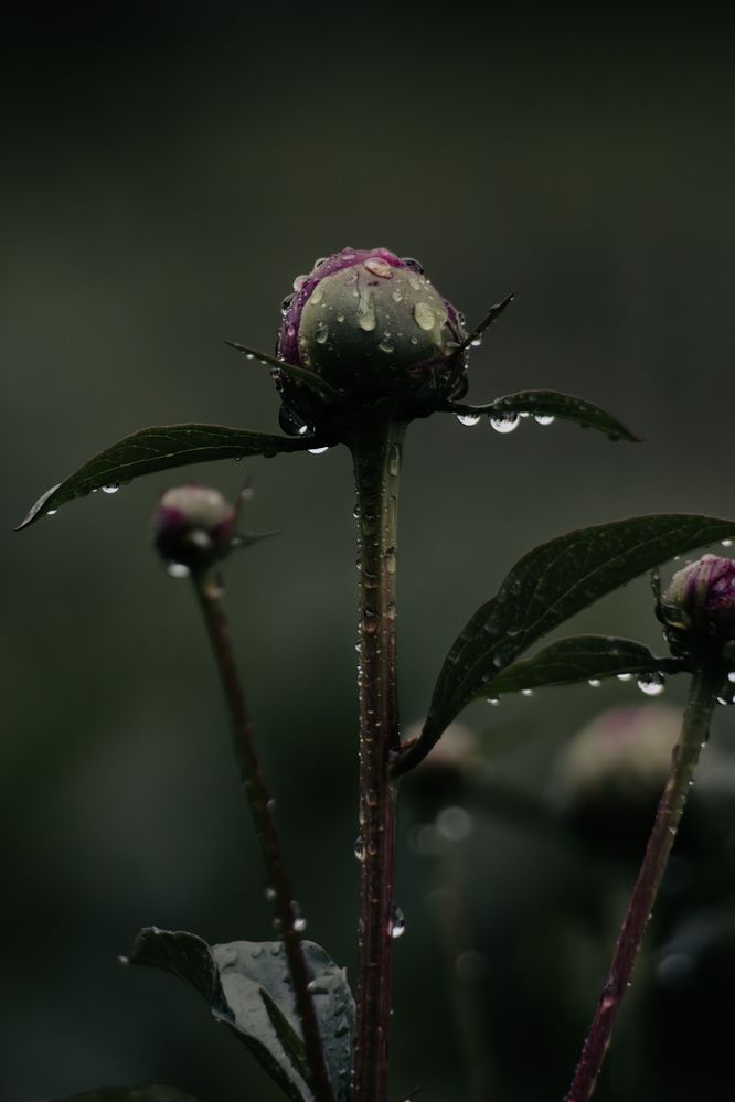 Photograph by Виктория