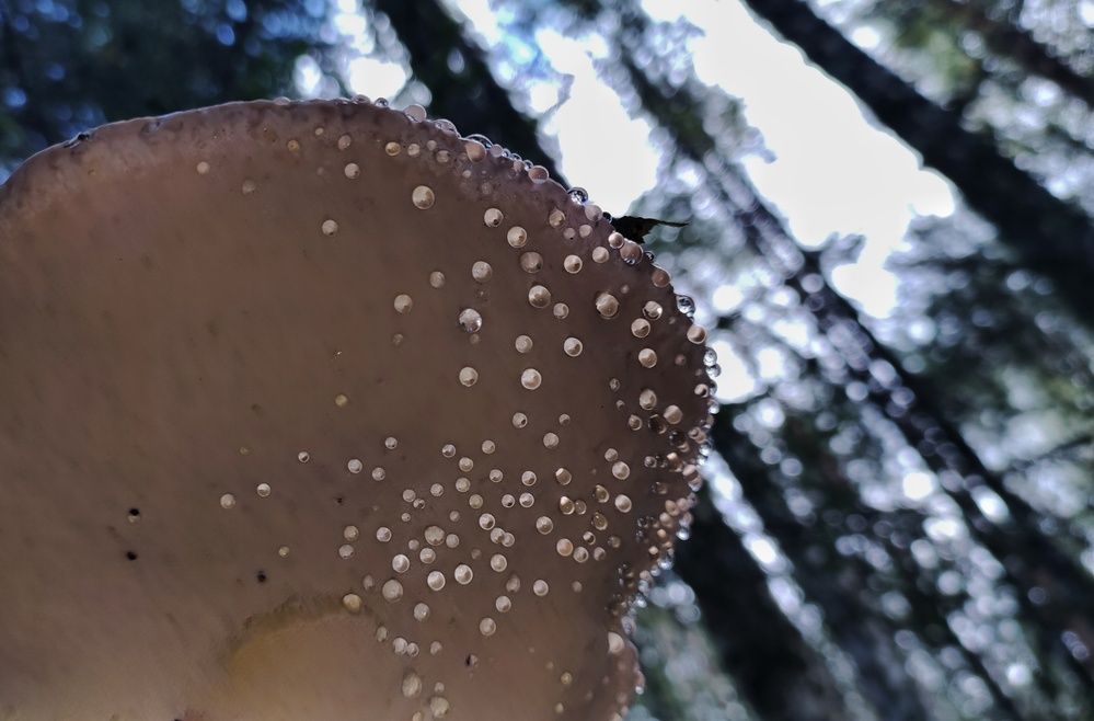 Photograph by Калюнова Наталья