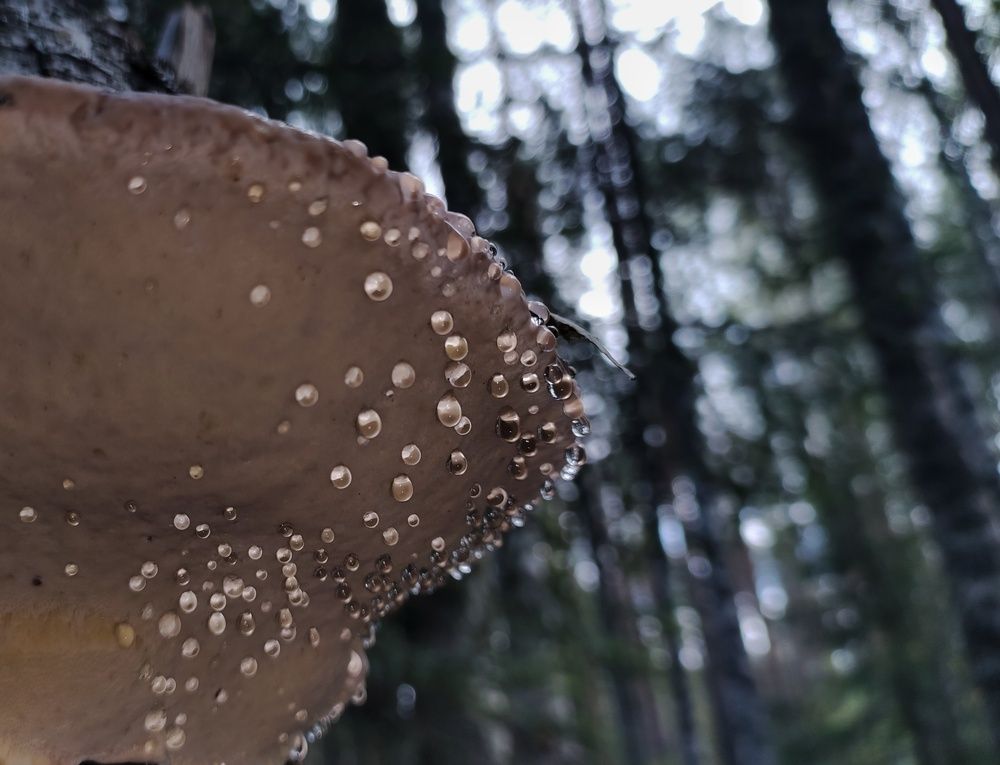 Photograph by Калюнова Наталья