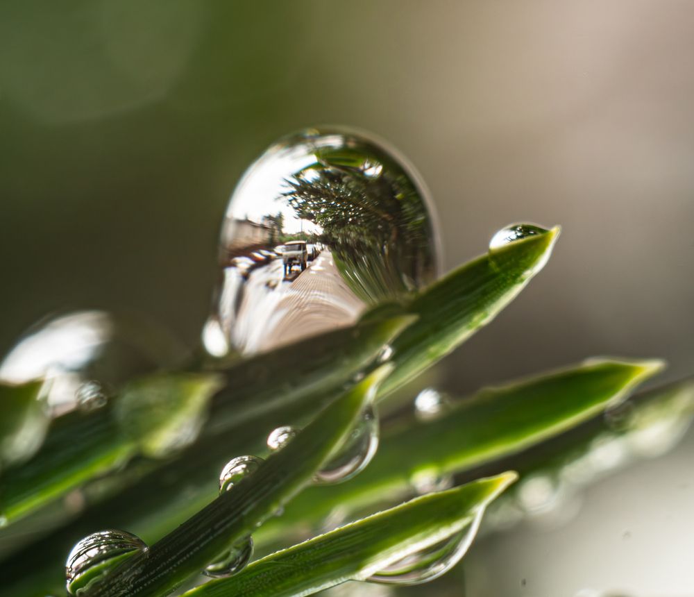 Фотография автора Юрий Володин