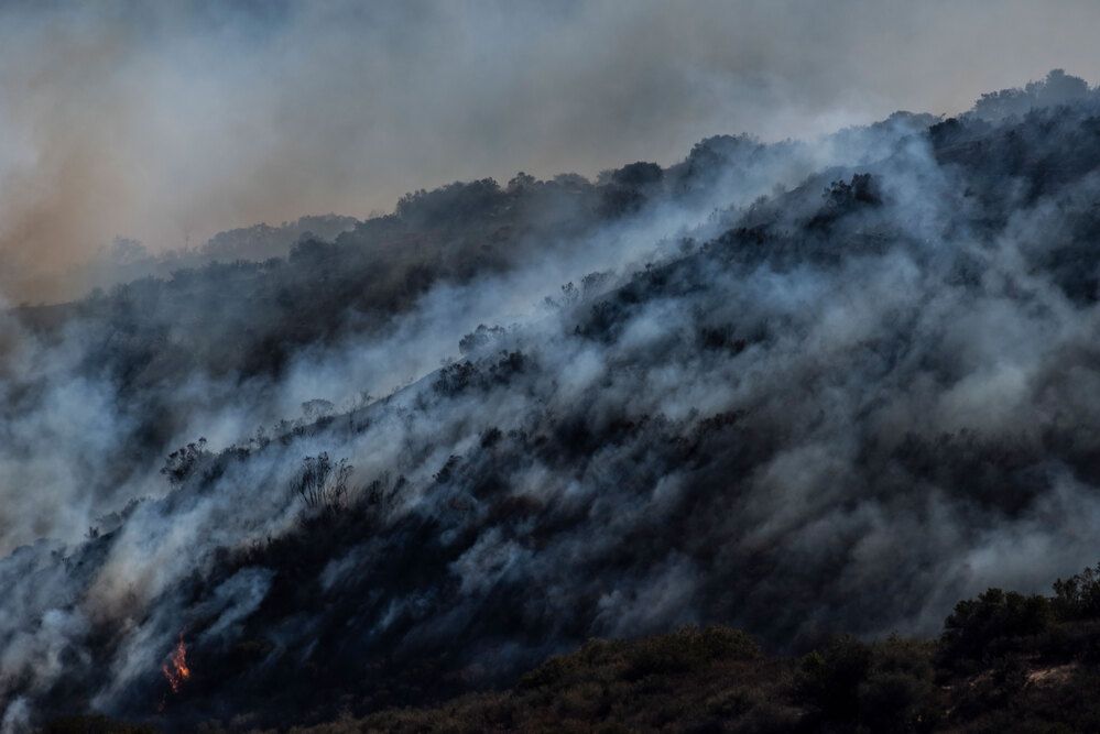 Photograph by Ramin Barzegar