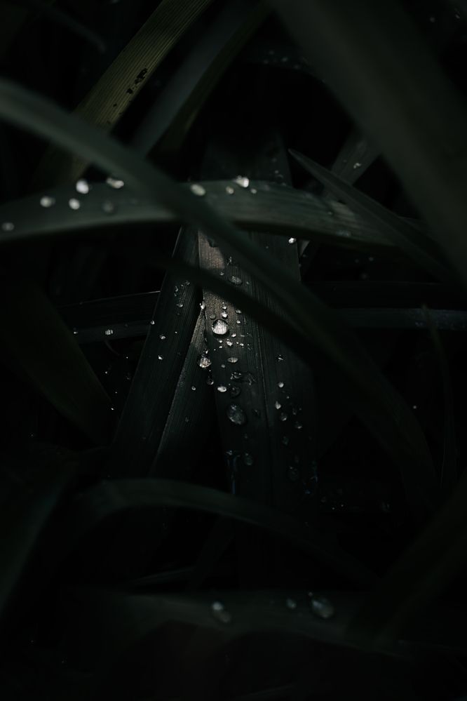 Photograph by Виктория