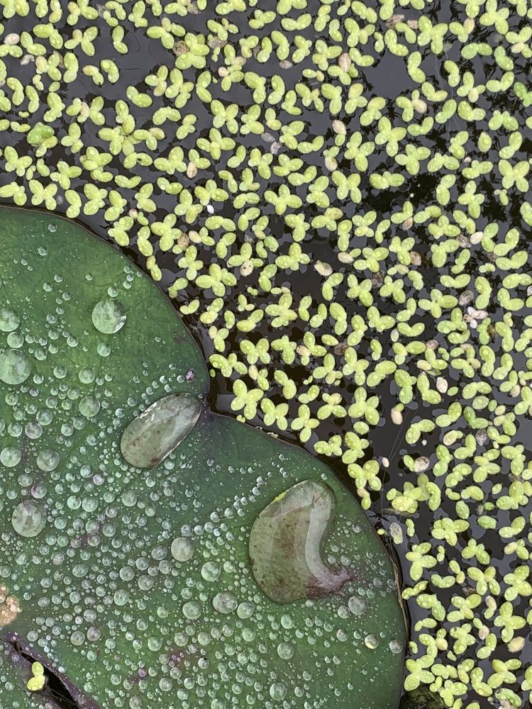 Photograph by Anna Poponina