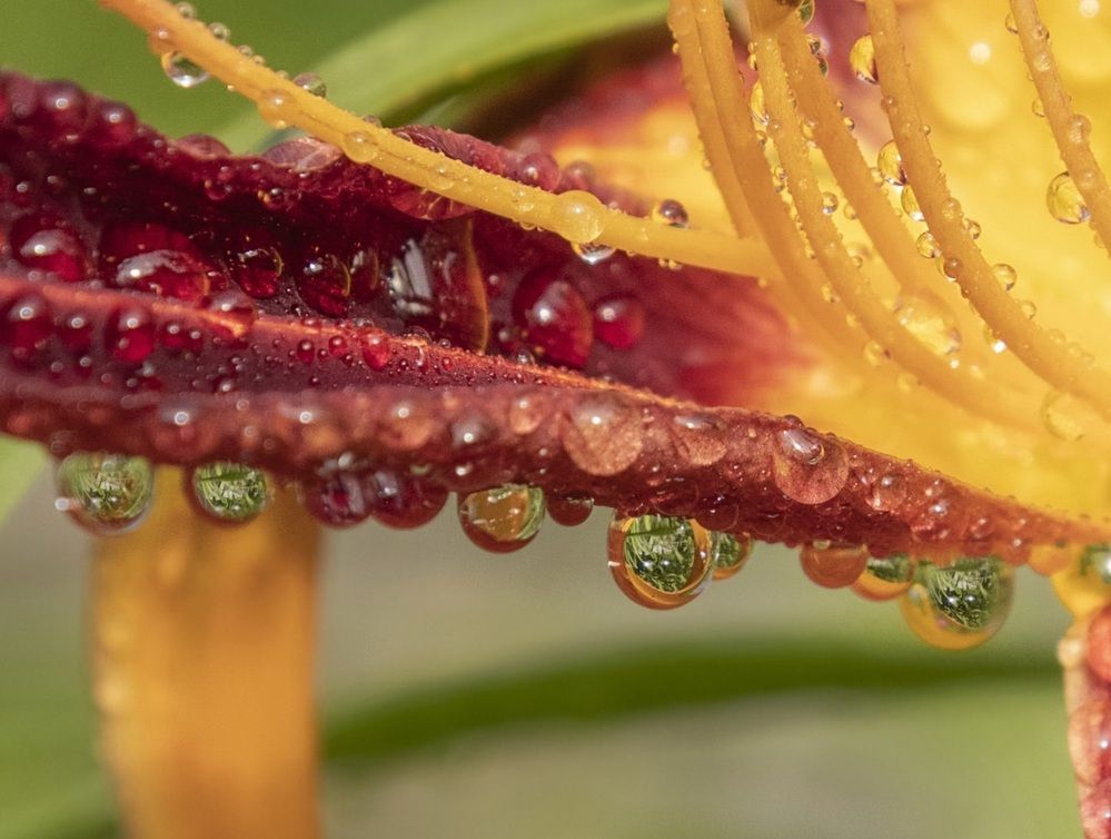 Photograph by Валентина Куренкова