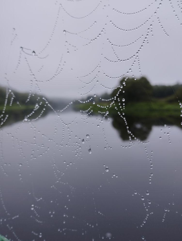 Photograph by Ольга Пилявская